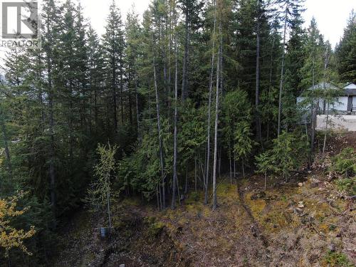 Balfour Avenue Lot# Lot 8, Kaslo, BC 