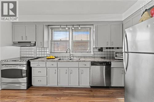 96 Terrace Drive, Hamilton, ON - Indoor Photo Showing Kitchen With Double Sink