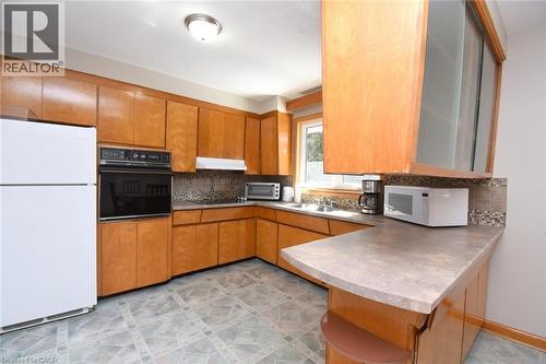 142 Delmar Drive, Hamilton, ON - Indoor Photo Showing Kitchen With Double Sink