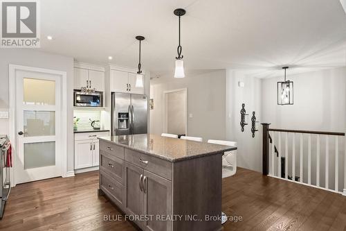 42 Hickory Lane, St. Thomas, ON - Indoor Photo Showing Kitchen With Upgraded Kitchen