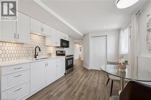 219 Blackhorne Drive, Kitchener, ON - Indoor Photo Showing Kitchen