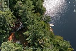 136 DEER LAKE ROAD Huntsville (Stephenson), ON P0B 1L0