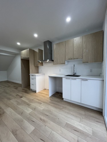 Cuisine - 2379 Rue D'Iberville, Montréal (Ville-Marie), QC - Indoor Photo Showing Kitchen