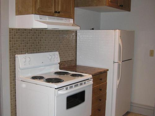 515 Brock St E, Thunder Bay, ON - Indoor Photo Showing Kitchen