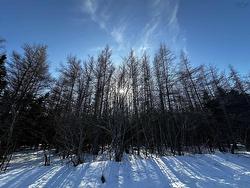 Whycocomagh-Port Hood Road  Southwest Mabou, NS B0E 1X0