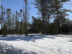 Lot 5 Renfrew Road  Nine Mile River, NS B2S 2W2