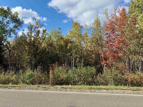 Lot 24-3 Highway 321, Roslin, NS 