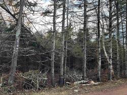 LOT 9 BIRDS EYE Drive  Rocky Point, PE C0A 1H0