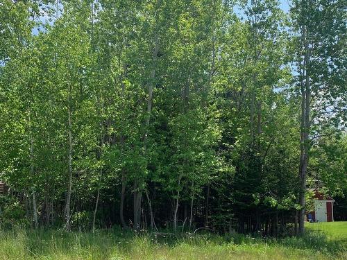 10 Brighton Way, Truro, NS 