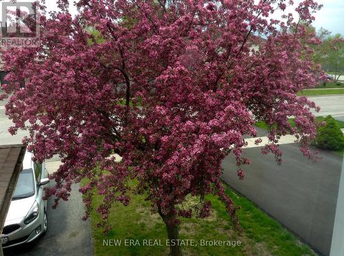 3103 Autumn Hill Crescent, Burlington, ON - Outdoor