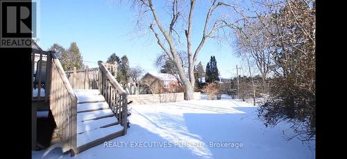 19 Brucedale Crescent, Toronto, ON 
