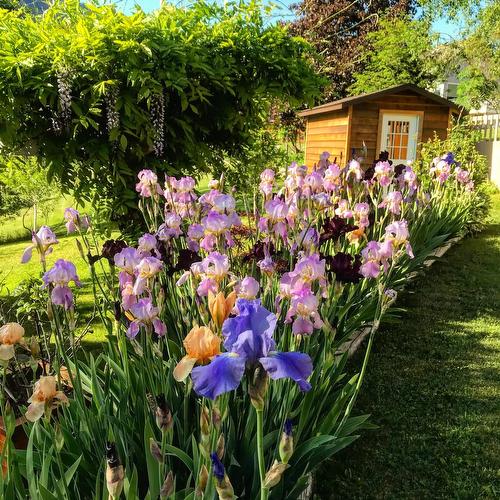 5253 Elsie Holmes Road, Wynndel, BC - Outdoor