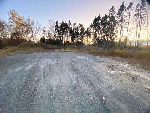 39 Mccurdy Drive, Gander, NL 