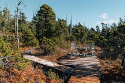 LOT 4 Hawkes Rd  Ucluelet, BC V0R 3A0