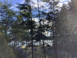 1 1st St  Sointula, BC V0N 3E0