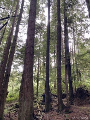 1 1St St, Sointula, BC 