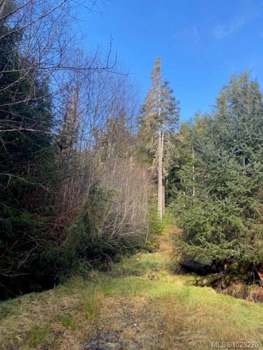 1 1St St, Sointula, BC 