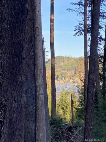 1 1St St, Sointula, BC 