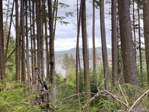 1 1St St, Sointula, BC 