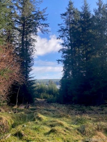 1 1St St, Sointula, BC 