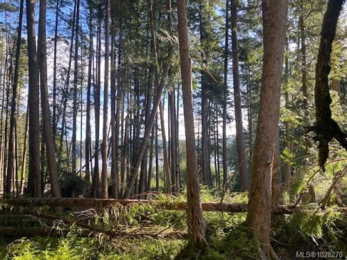 1 1St St, Sointula, BC 