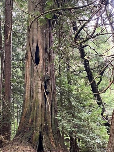 1 1St St, Sointula, BC 