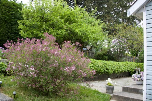 9265 Chemainus Rd, Chemainus, BC 