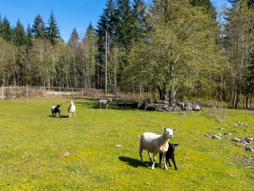 2892 Maridge Rd, Courtenay, BC 