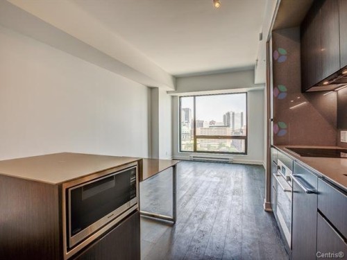 Kitchen - 4105-1288 Av. Des Canadiens-De-Montréal, Montréal (Ville-Marie), QC - Indoor Photo Showing Kitchen