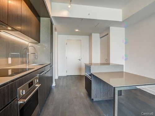 Kitchen - 4105-1288 Av. Des Canadiens-De-Montréal, Montréal (Ville-Marie), QC - Indoor Photo Showing Kitchen