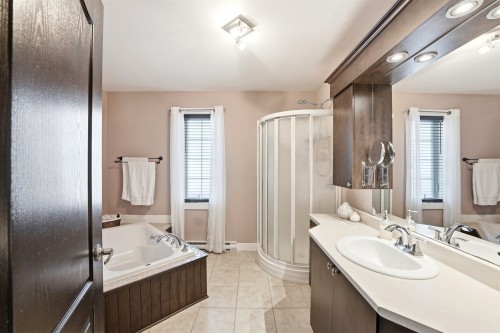 Salle de bains - 1114 Rue Jolicoeur, L'Assomption, QC - Indoor Photo Showing Bathroom