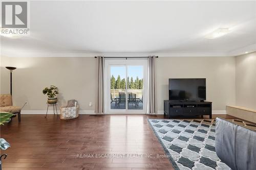 14 Atkins Drive, Hamilton, ON - Indoor Photo Showing Living Room