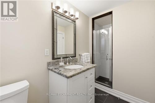 14 Atkins Drive, Hamilton, ON - Indoor Photo Showing Bathroom