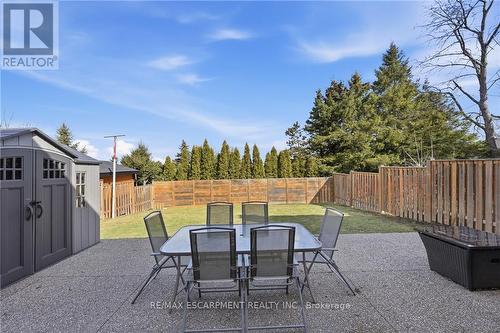 14 Atkins Drive, Hamilton, ON - Outdoor With Deck Patio Veranda With Backyard