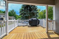 How nice to have part sun/part shade on the deck! - 