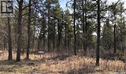 Rec lot 12/2  Hudson Bay Rm No. 394, SK S0E 0Y0