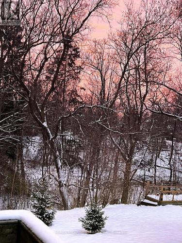 19 Chateau Court, Hamilton, ON - Outdoor