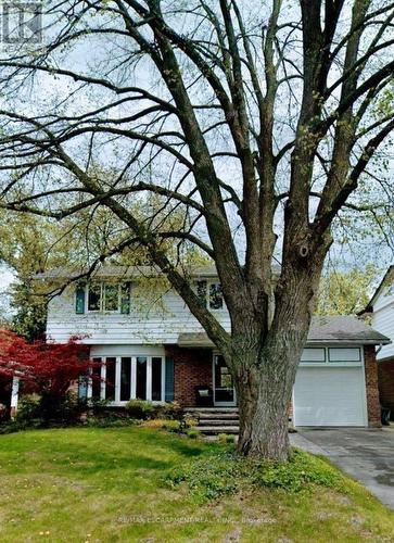 19 Chateau Court, Hamilton, ON - Outdoor