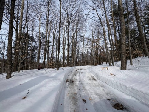 Terre/Terrain - Ch. De La Brise, Saint-Hippolyte, QC 