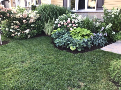 Extérieur - 1164 Rue Du Clos-Du-Petit-Mont, Prévost, QC - Outdoor