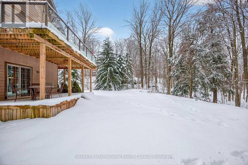 28 Big Tree Circle, Mulmur, ON - Outdoor