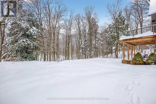 28 Big Tree Circle, Mulmur, ON - Outdoor