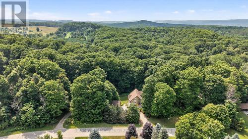 28 Big Tree Circle, Mulmur, ON - Outdoor With View