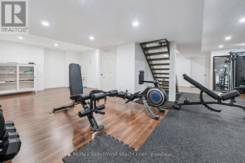 28 Kathleen Court, Hamilton, ON - Indoor Photo Showing Gym Room
