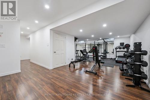 28 Kathleen Court, Hamilton, ON - Indoor Photo Showing Gym Room