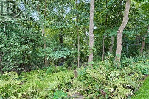 6 - 398 Old Riverside Drive, London North (North N), ON - Outdoor