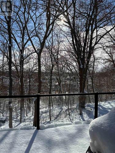 6 - 398 Old Riverside Drive, London North (North N), ON - Outdoor With View