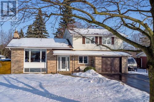 5675 MAIN STREET  Clarington (Orono), ON L0B 1M0