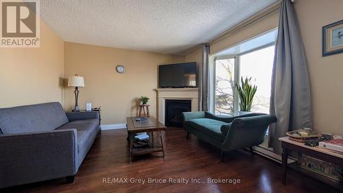 60 - 60 Lila Road, Owen Sound, ON - Indoor Photo Showing Living Room With Fireplace