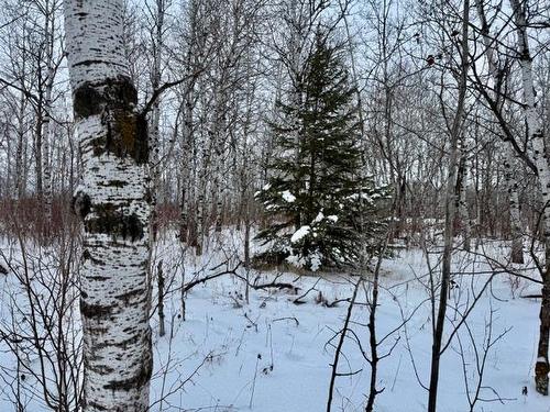 18 Cameron Dr, La Broquerie, MB 